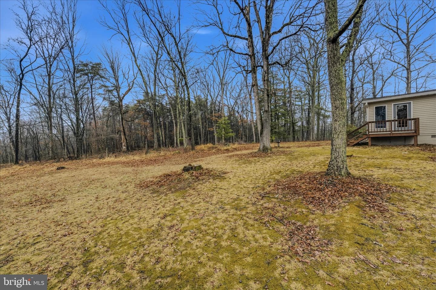 91 Ironwood Lane photo 42
