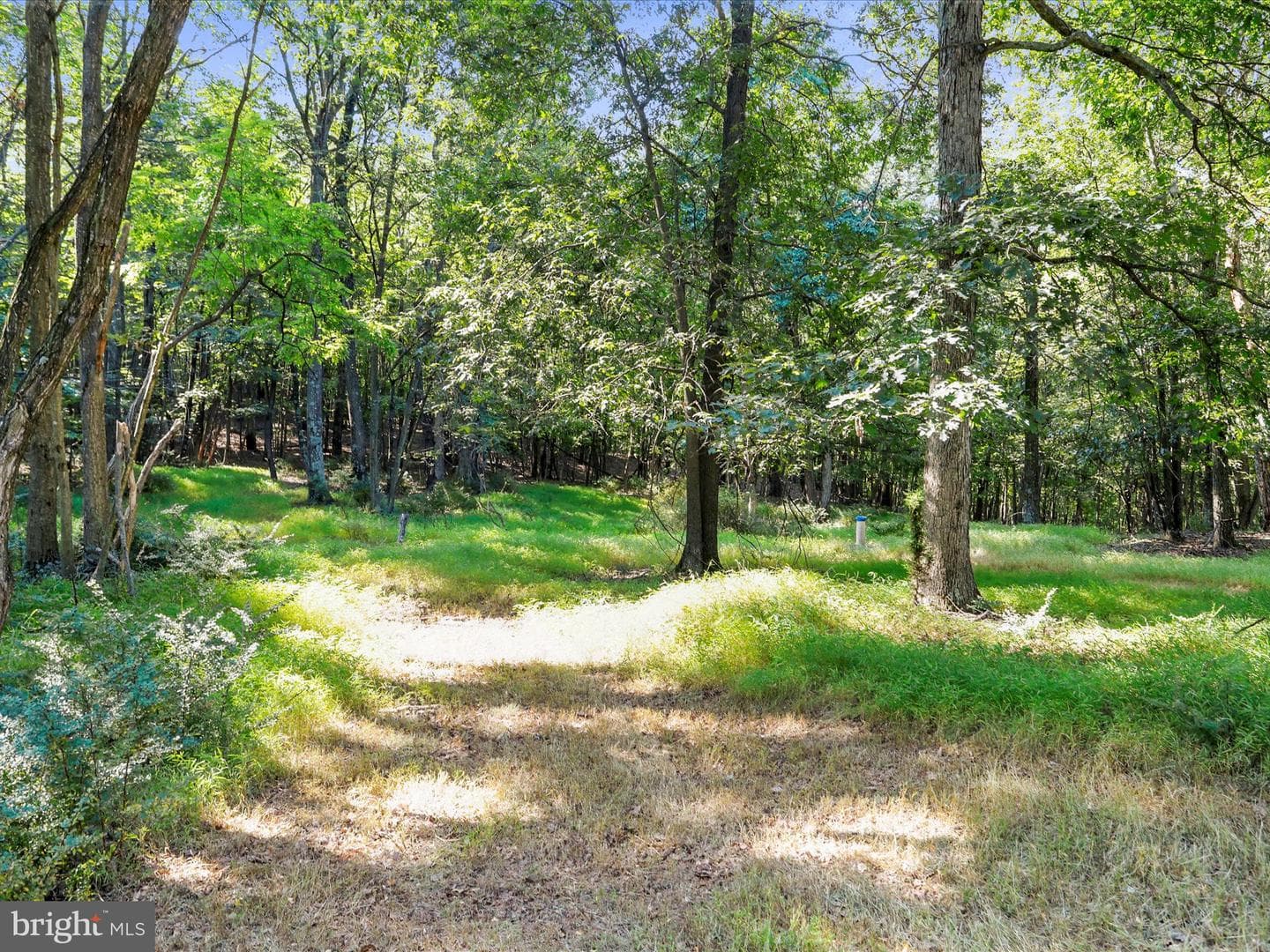 1840 Shade Lane photo 34