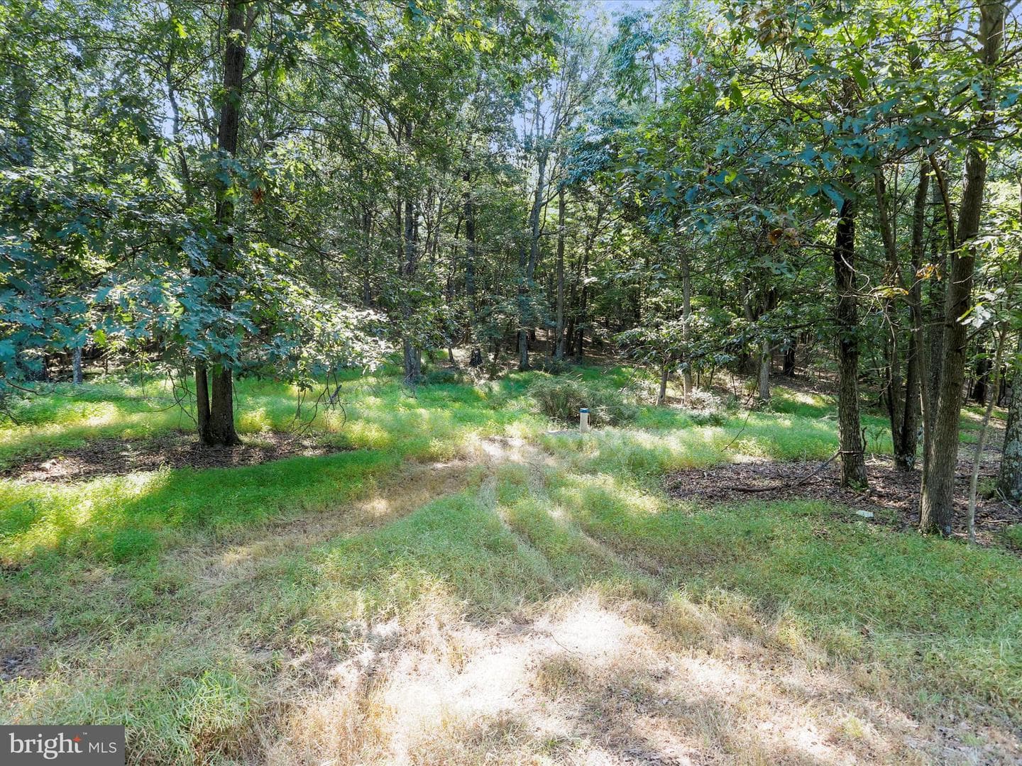 1840 Shade Lane photo 36