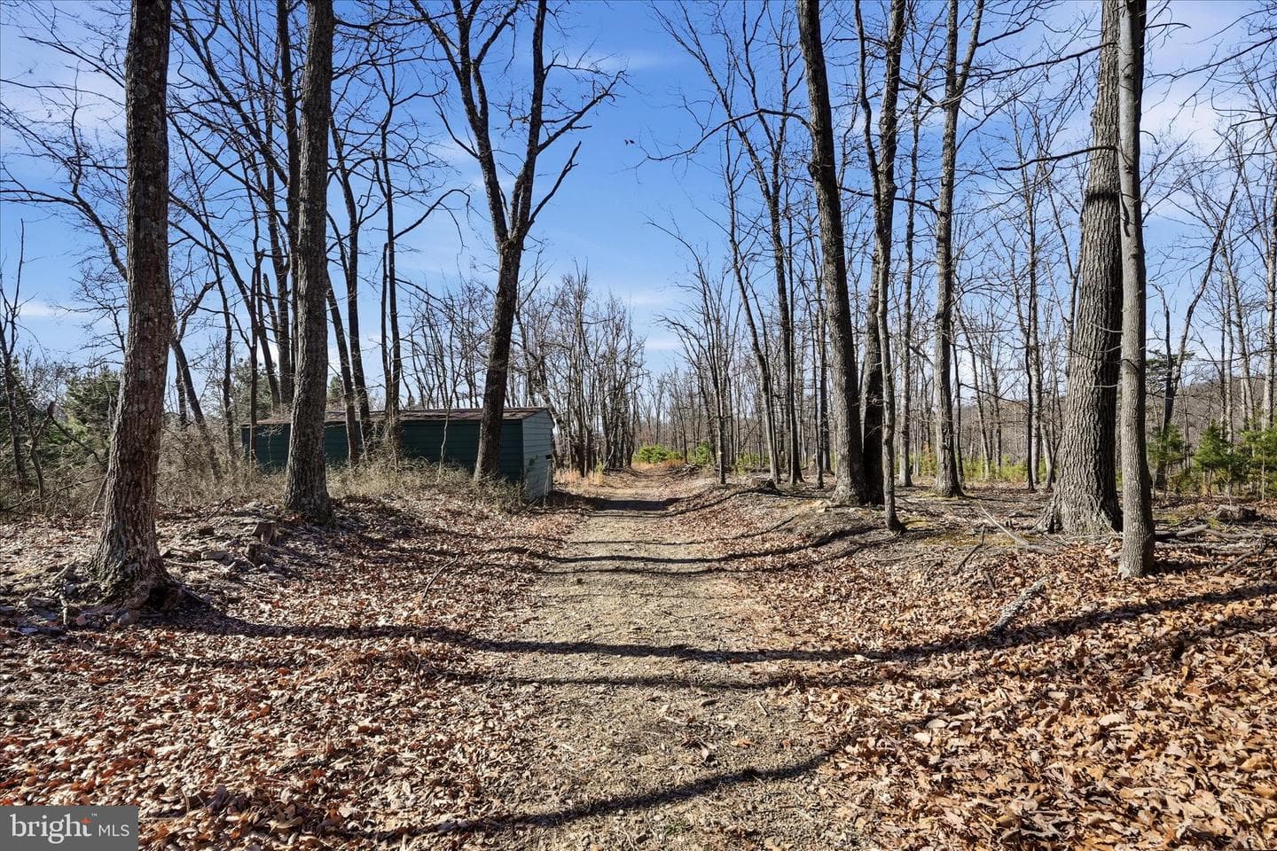 2280 Pine Grove Road photo 47