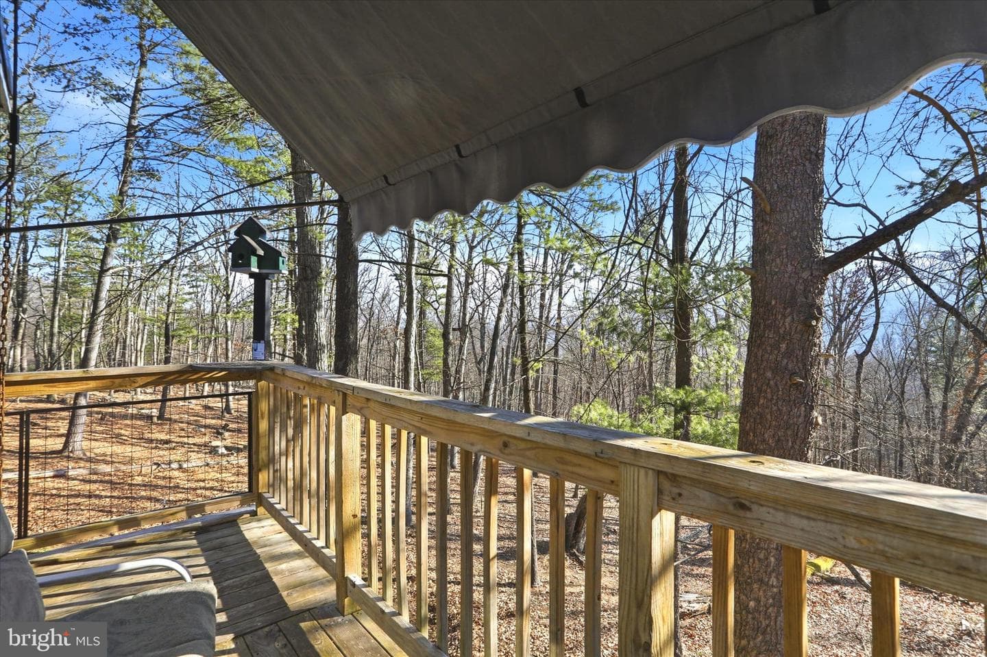 157 Calypso Trail photo 13