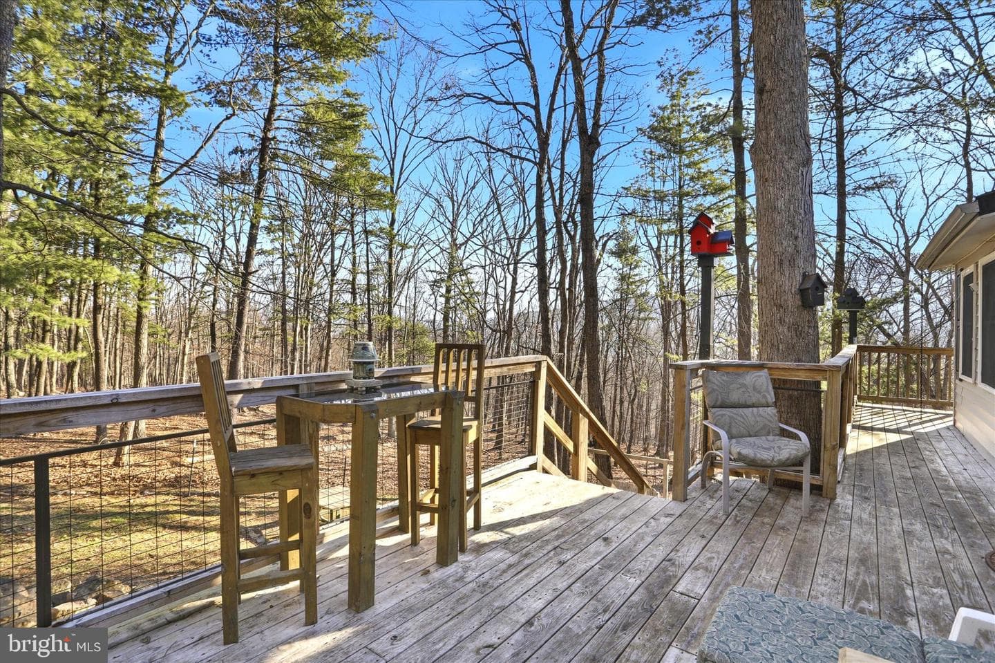 157 Calypso Trail photo 36