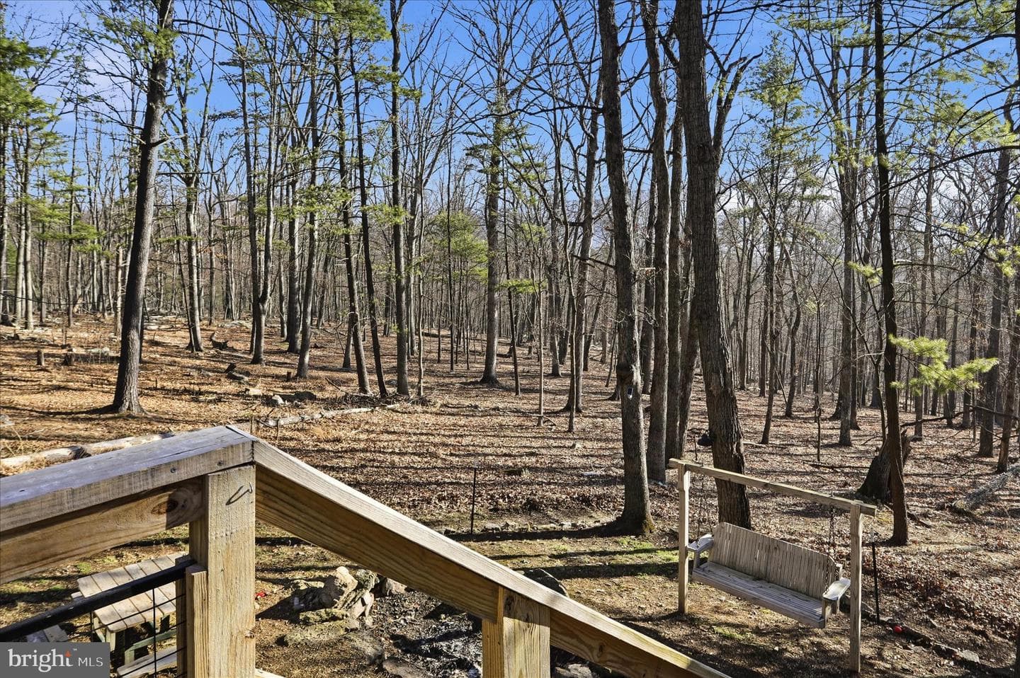 157 Calypso Trail photo 37