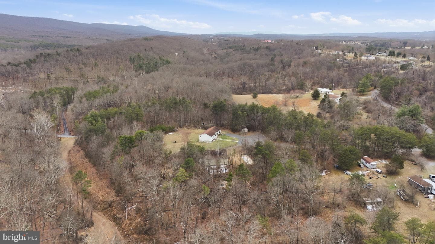 271 Packing Shed Road photo 33