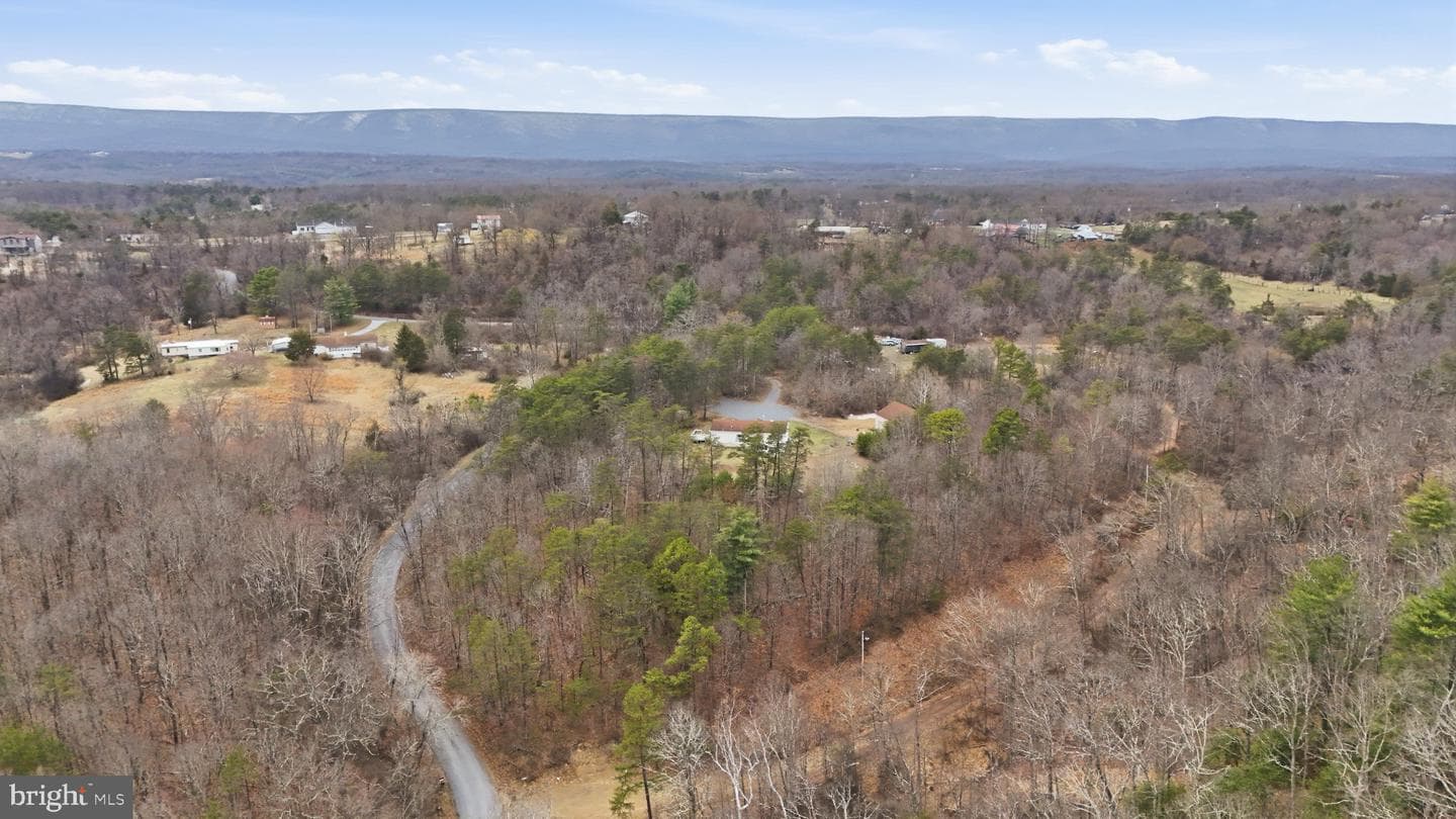 271 Packing Shed Road photo 35