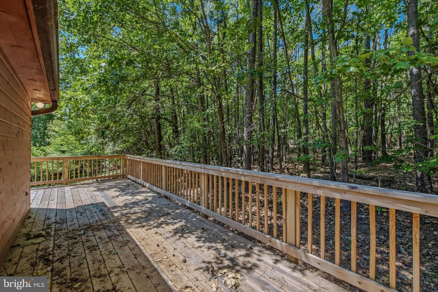 292 Creekview Lane photo 9