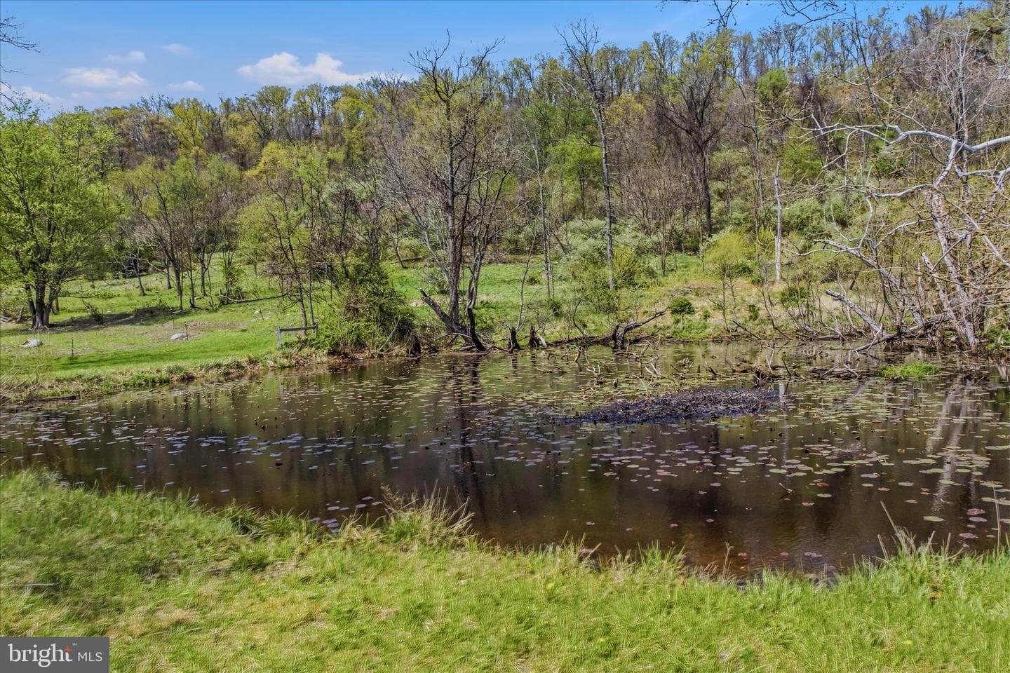 92 English Muffin Way photo 51
