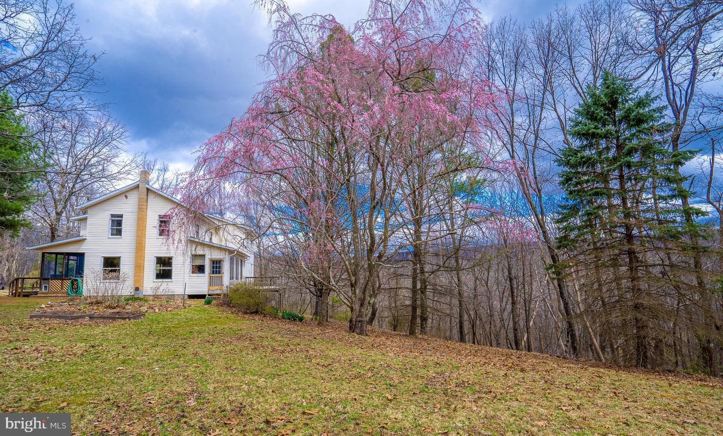 295 Greenwoods Drive photo 11