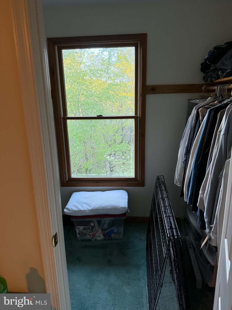 295 Greenwoods Drive photo 26