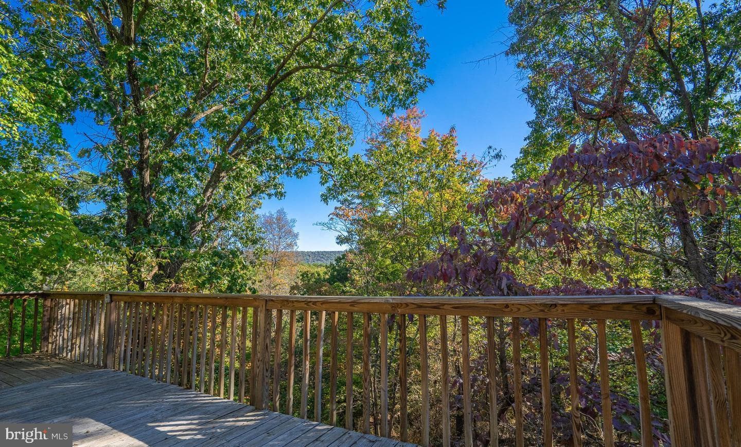 295 Greenwoods Drive photo 5