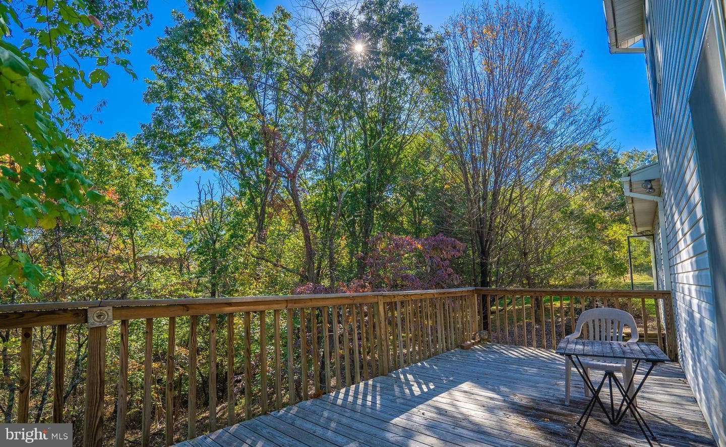 295 Greenwoods Drive photo 7
