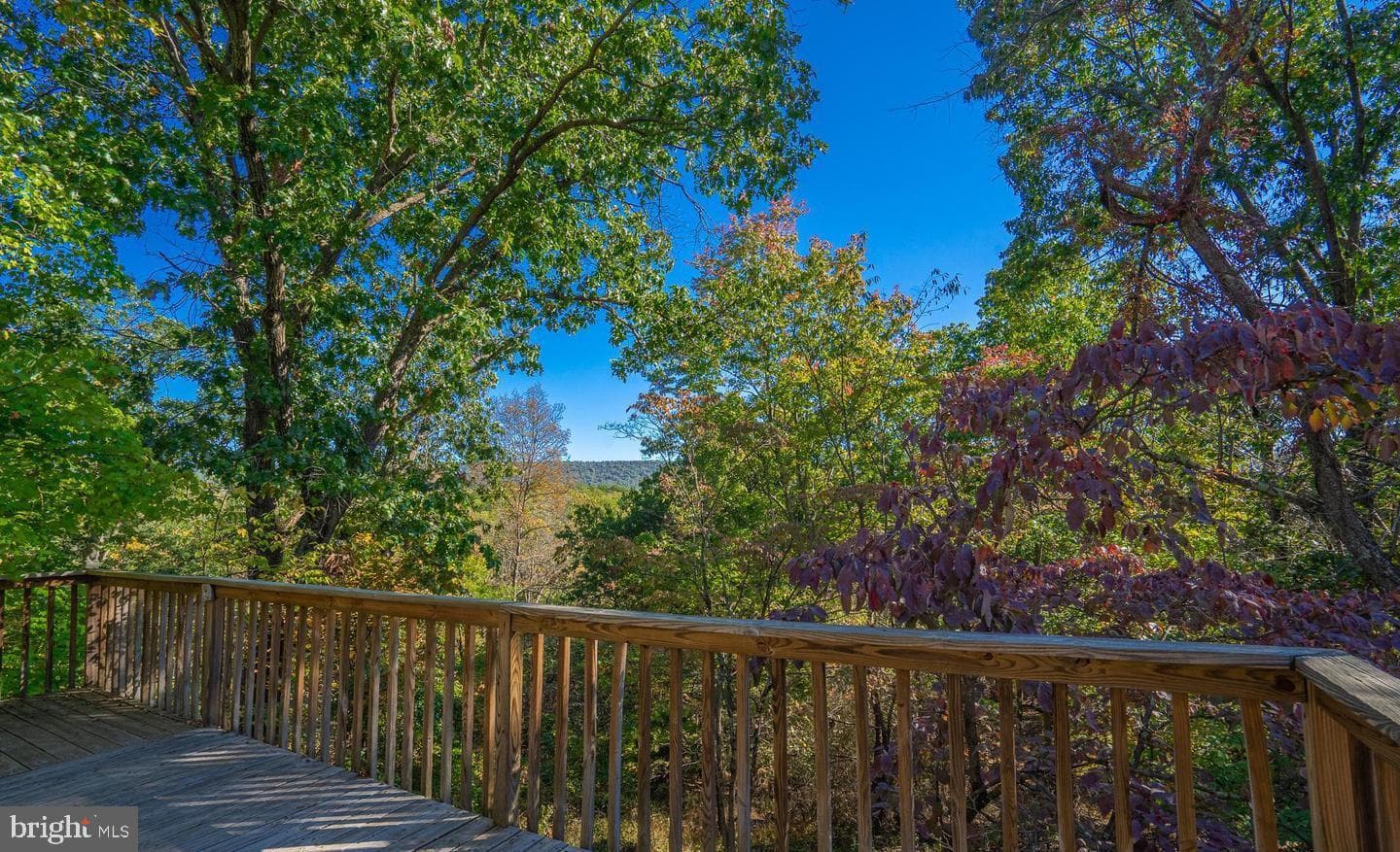 295 Greenwoods Drive photo 8