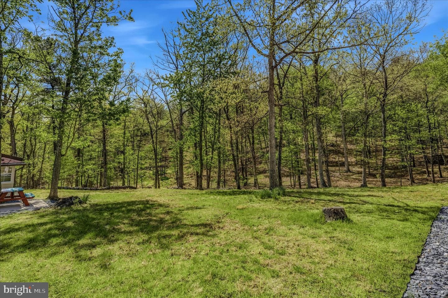 350 Keiter Drive photo 51