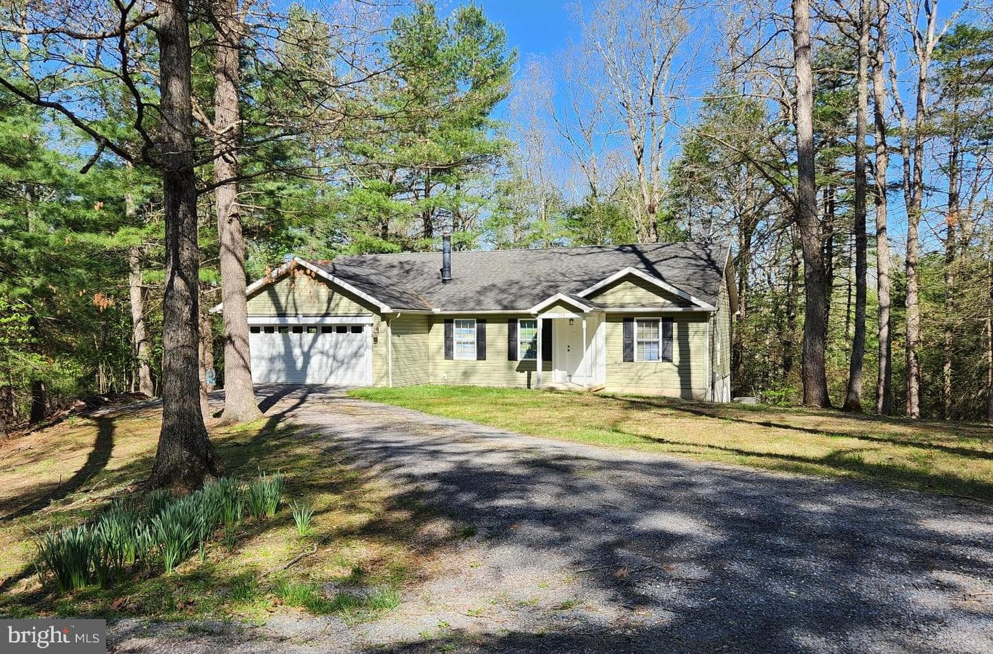 264 Chestnut Oak Lane photo 1