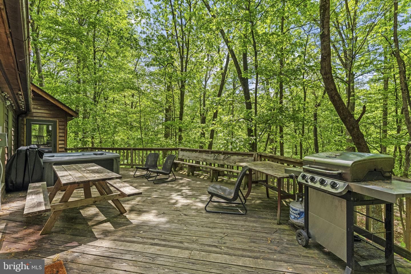 132 Bobcat Drive photo 5