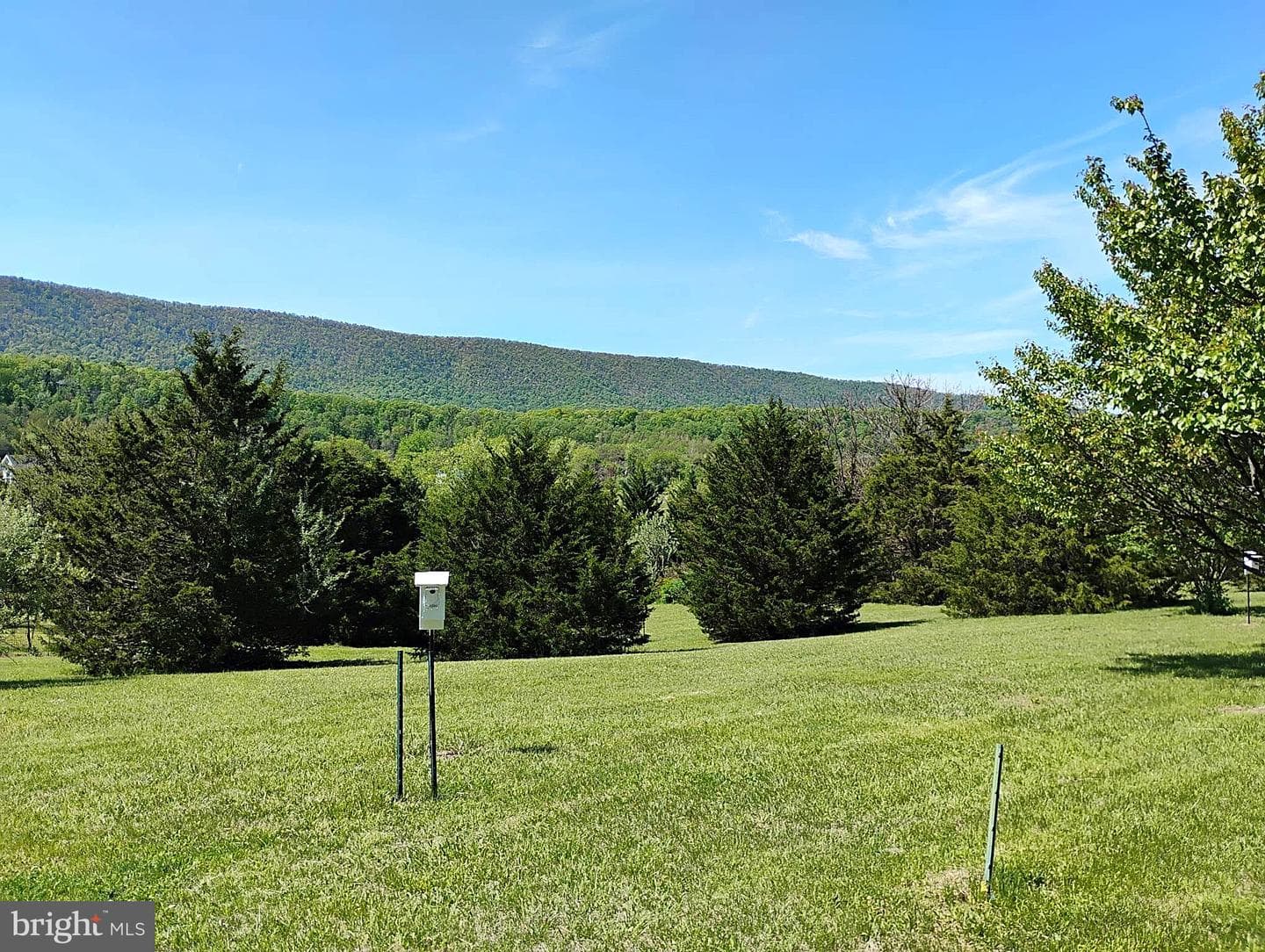 187 Sunny Meadow Place photo 2