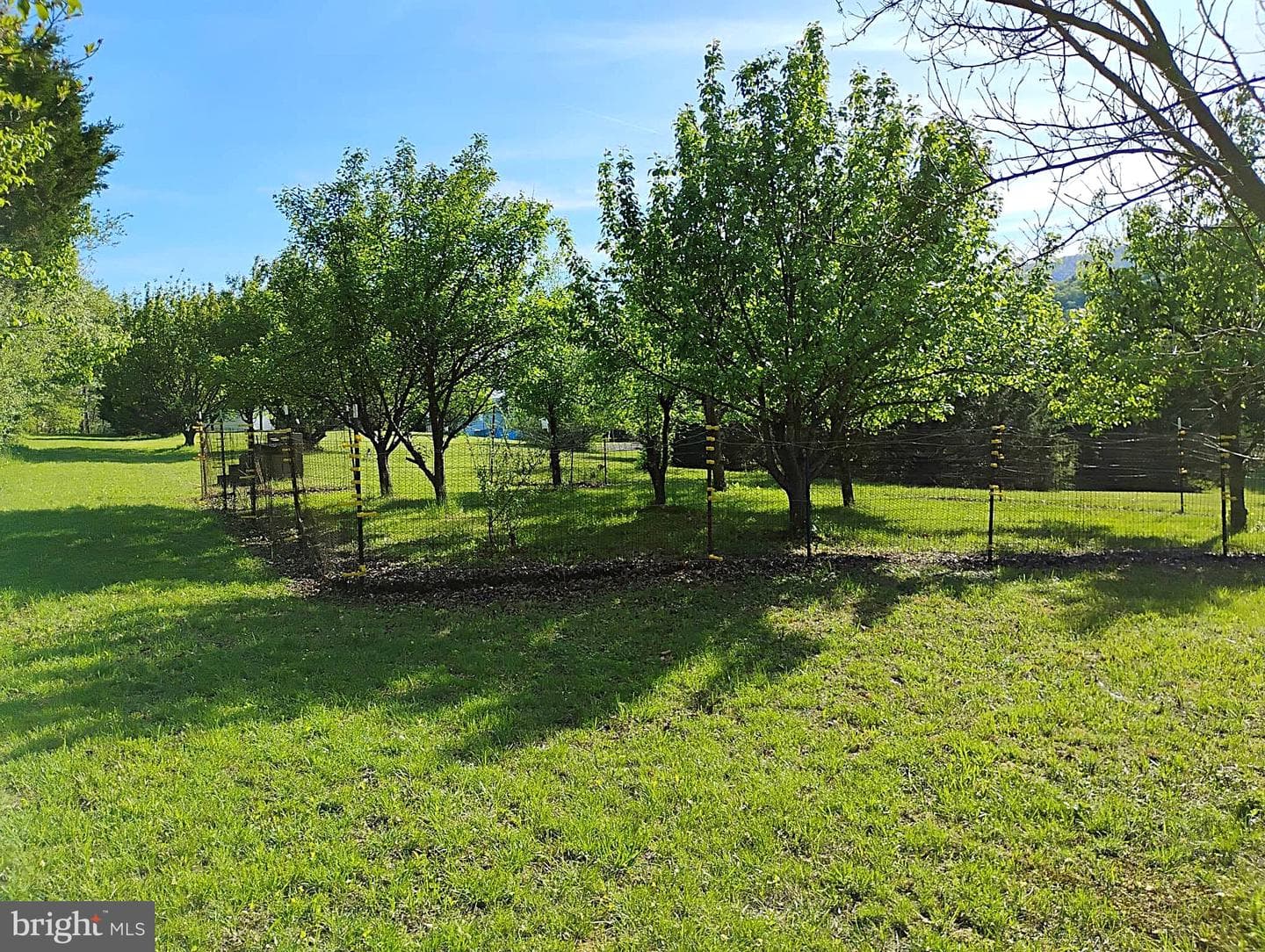 187 Sunny Meadow Place photo 80