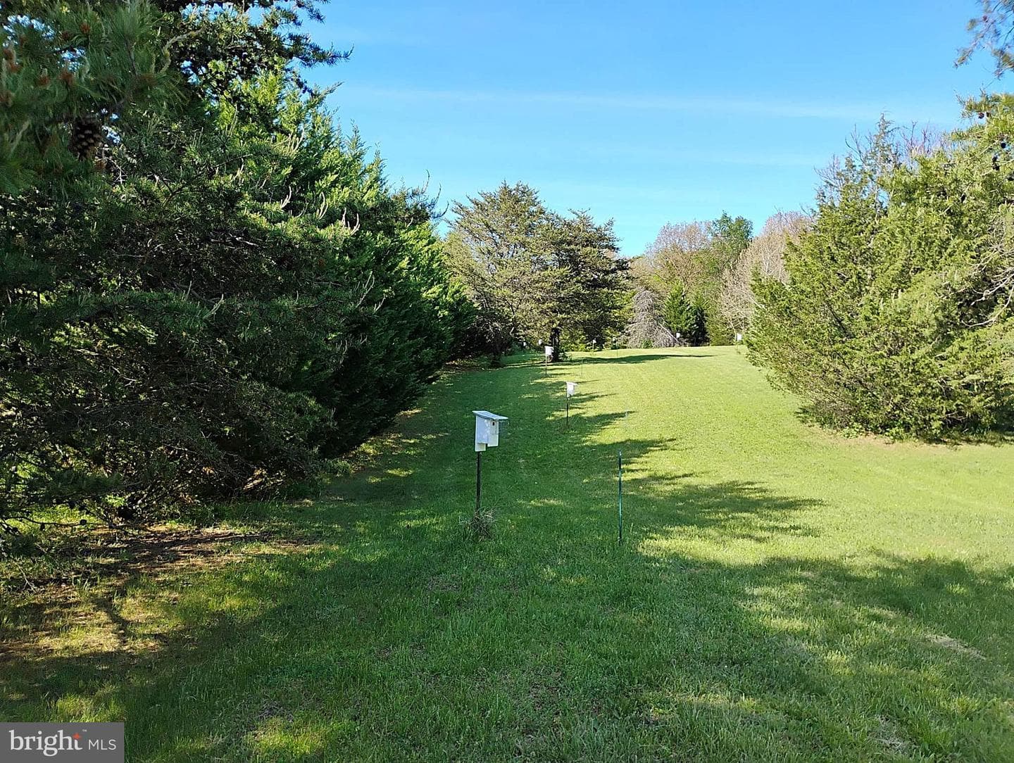187 Sunny Meadow Place photo 81
