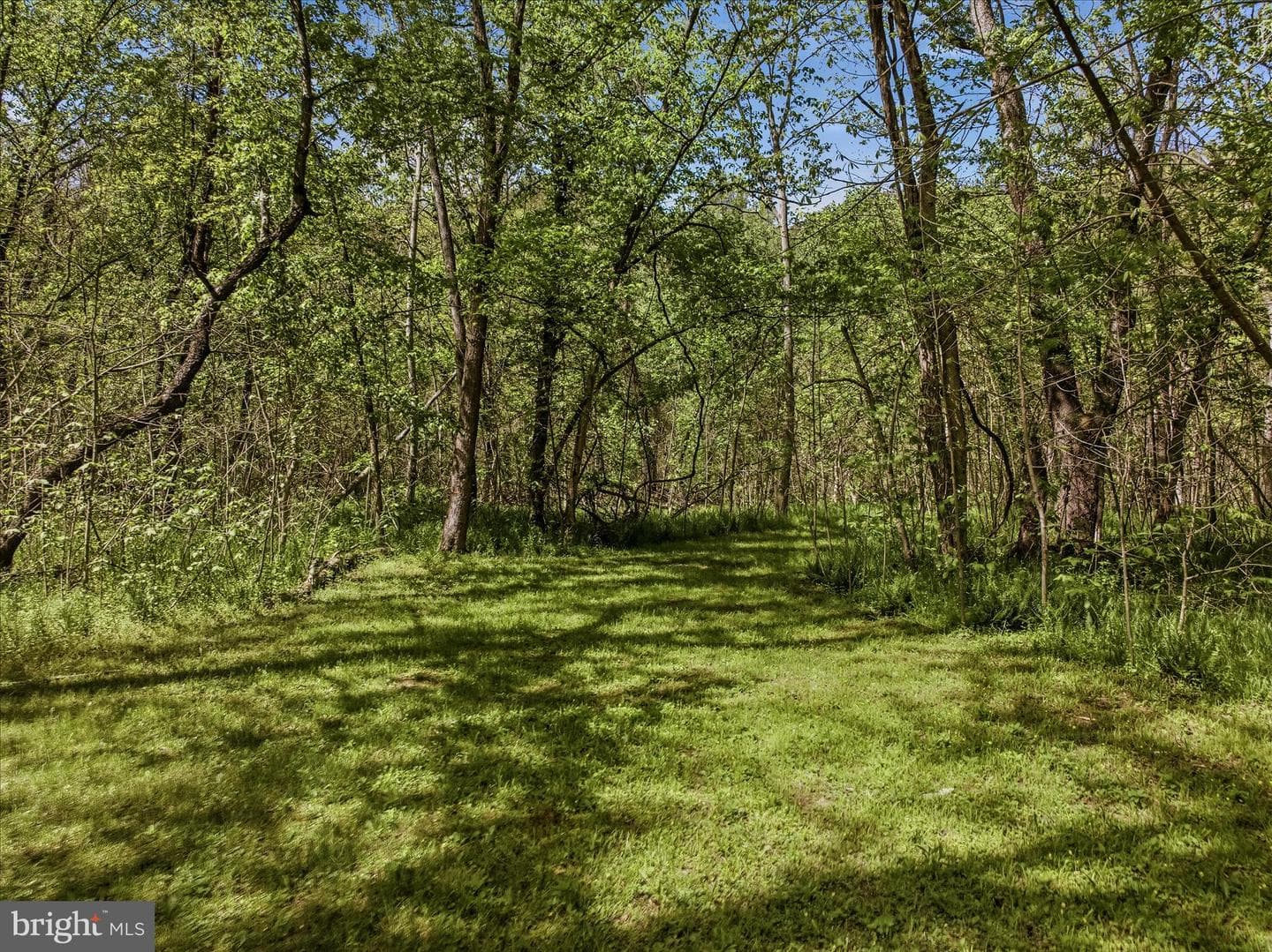 1628 Vista River Road photo 13