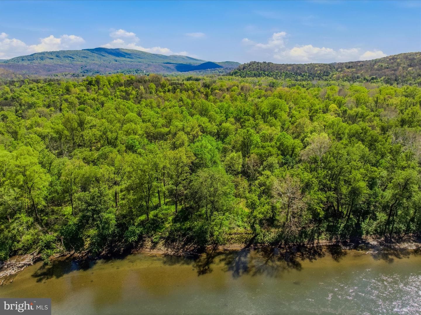 1628 Vista River Road photo 14