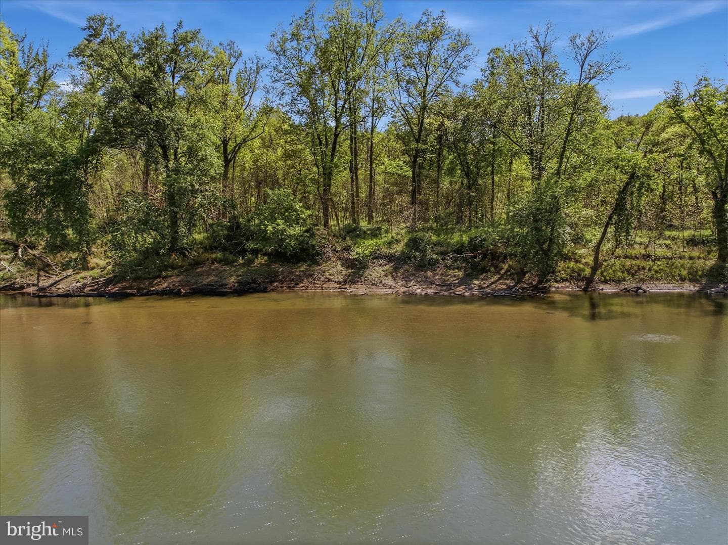 1628 Vista River Road photo 3