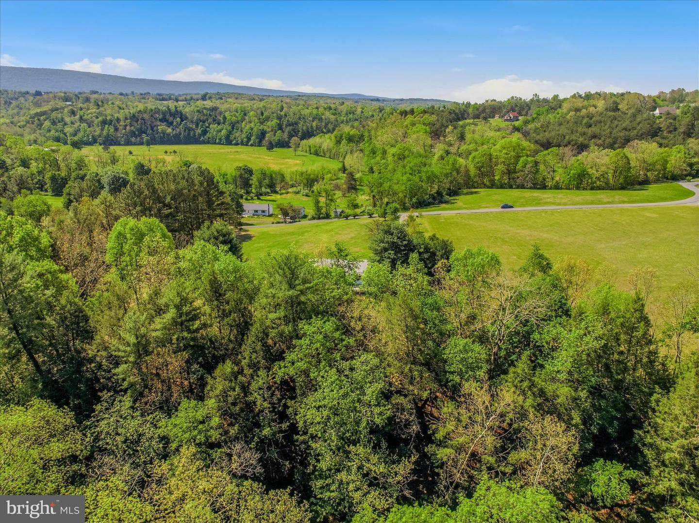 254 Old Mill Manor Drive photo 45