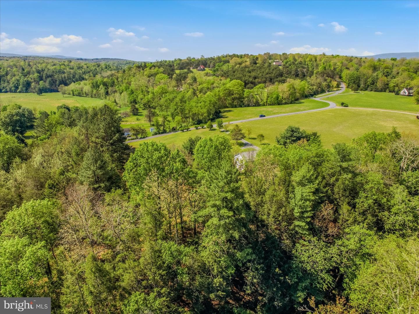 254 Old Mill Manor Drive photo 46