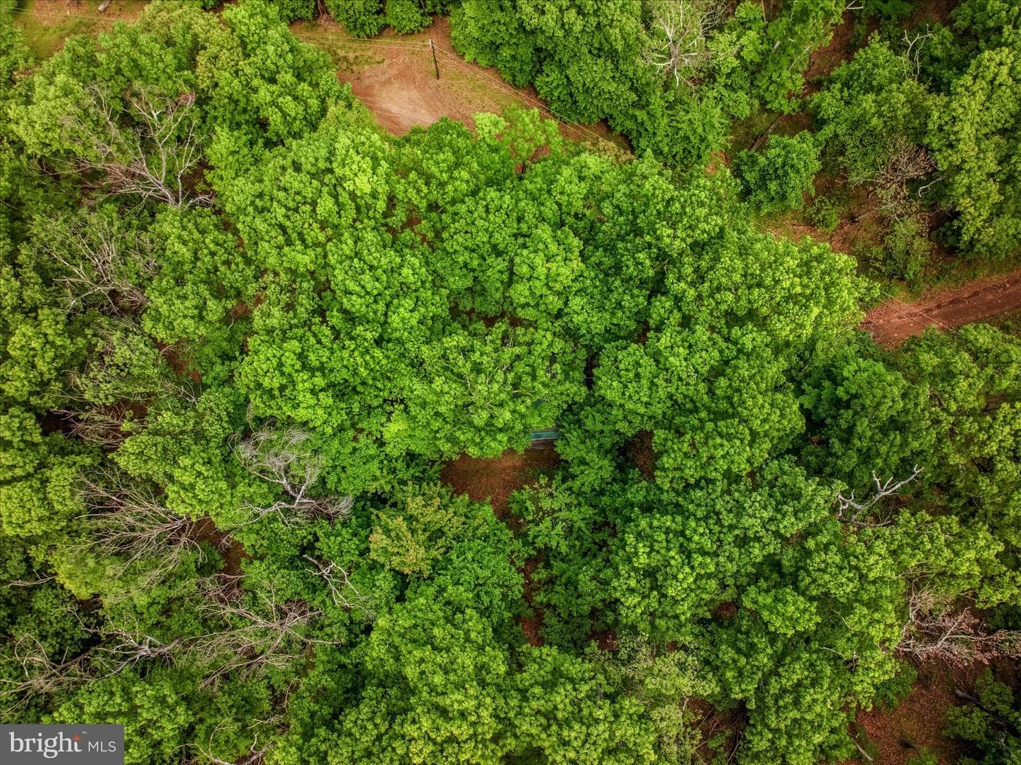 98 Ore Trail photo 40