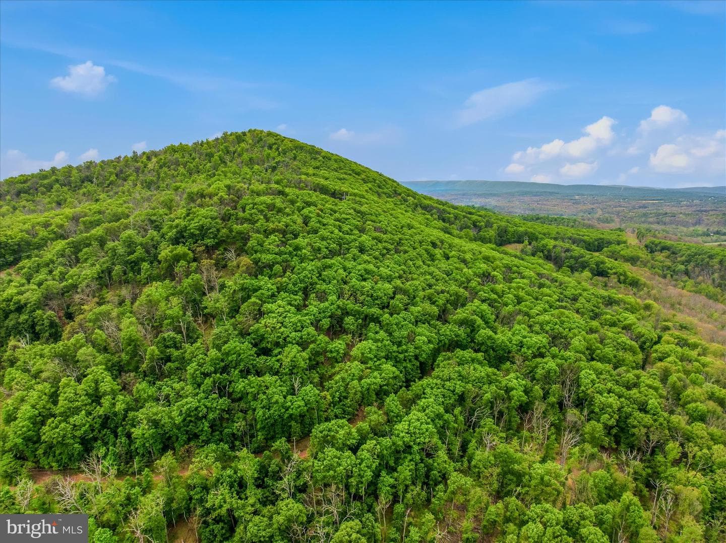 98 Ore Trail photo 42