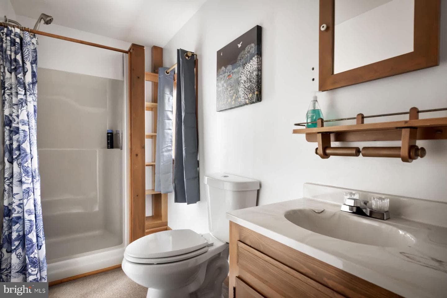 220 Leisure Lane photo 30