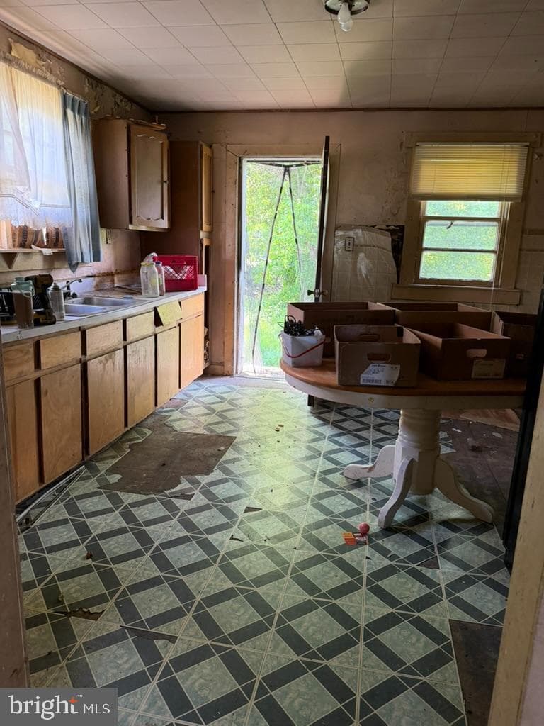 229 Wilson Street photo 11