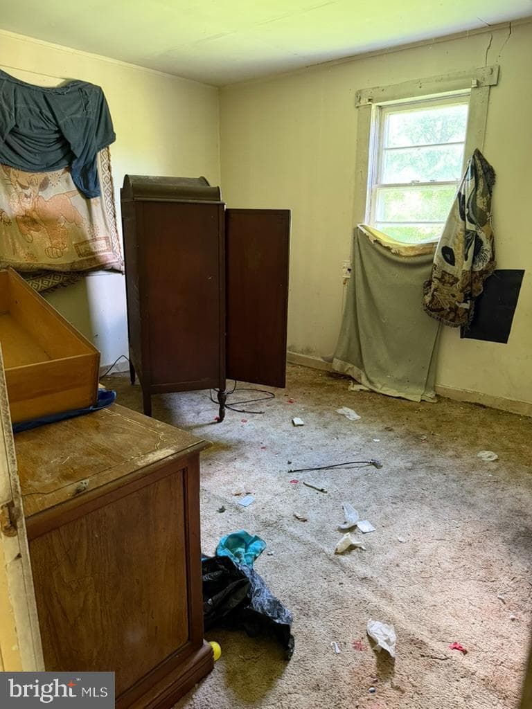229 Wilson Street photo 16