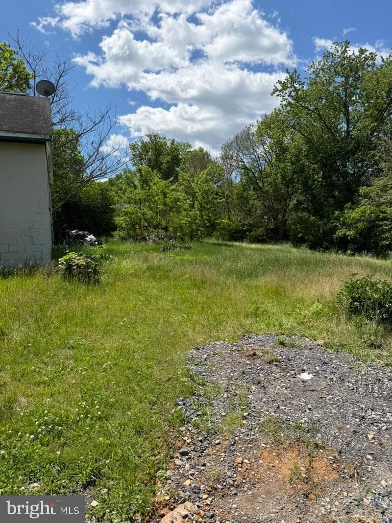 229 Wilson Street photo 3