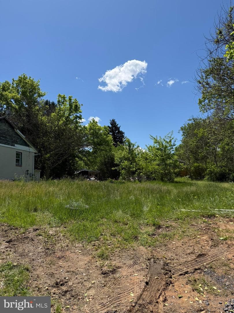 229 Wilson Street photo 4