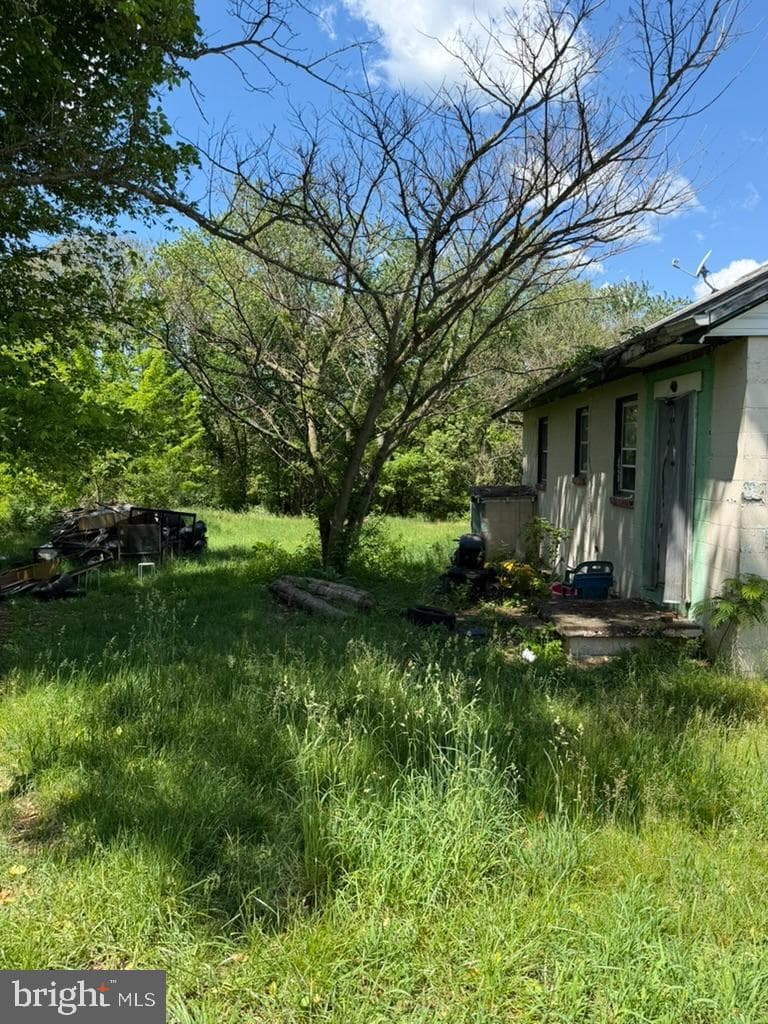 229 Wilson Street photo 8