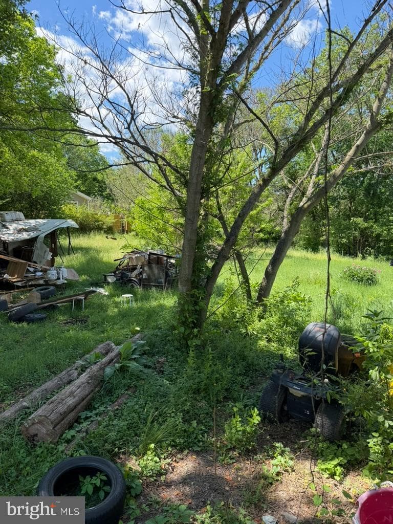 229 Wilson Street photo 9