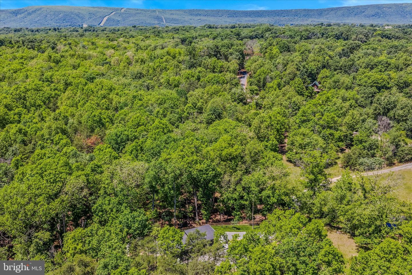 80 Holly Hill Court photo 44