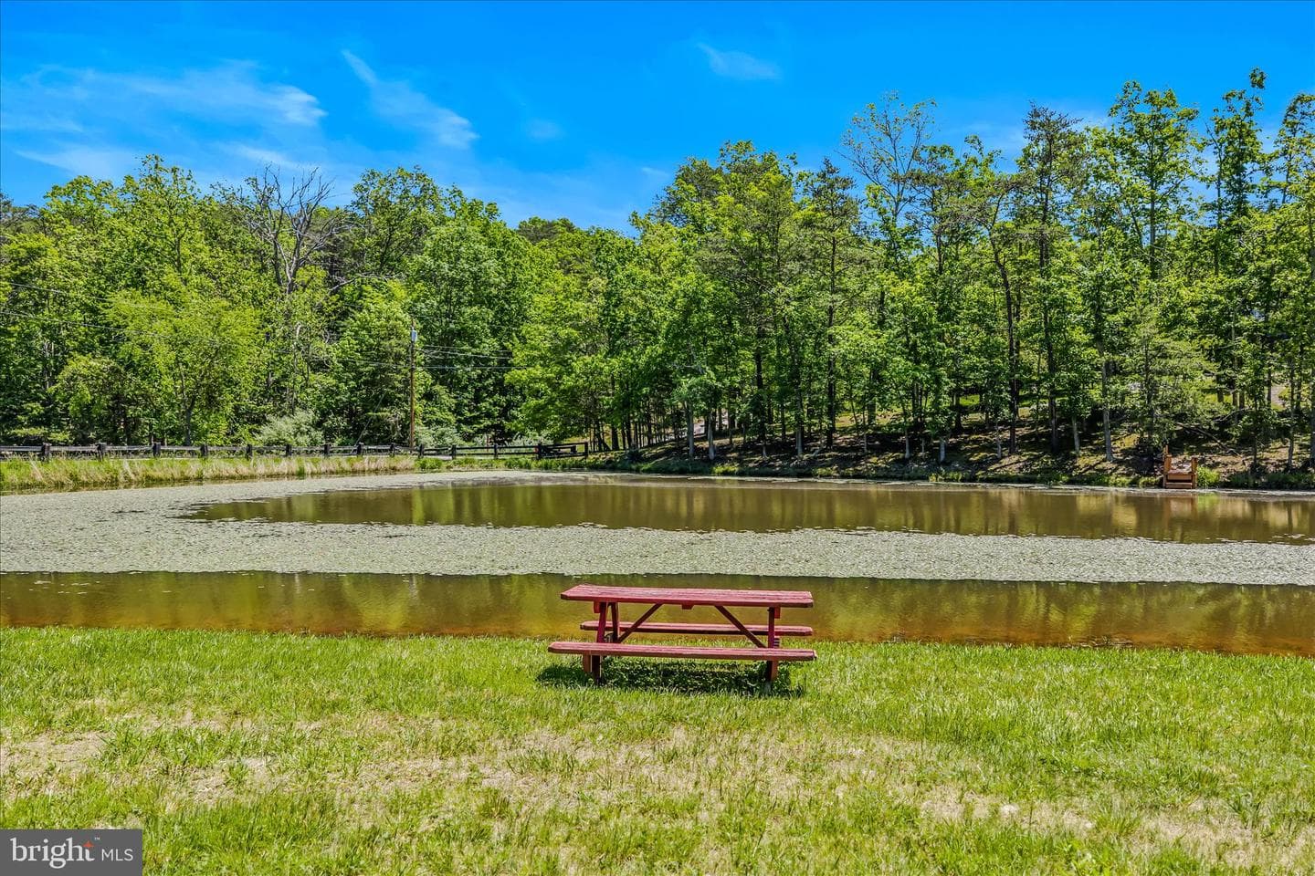 80 Holly Hill Court photo 50