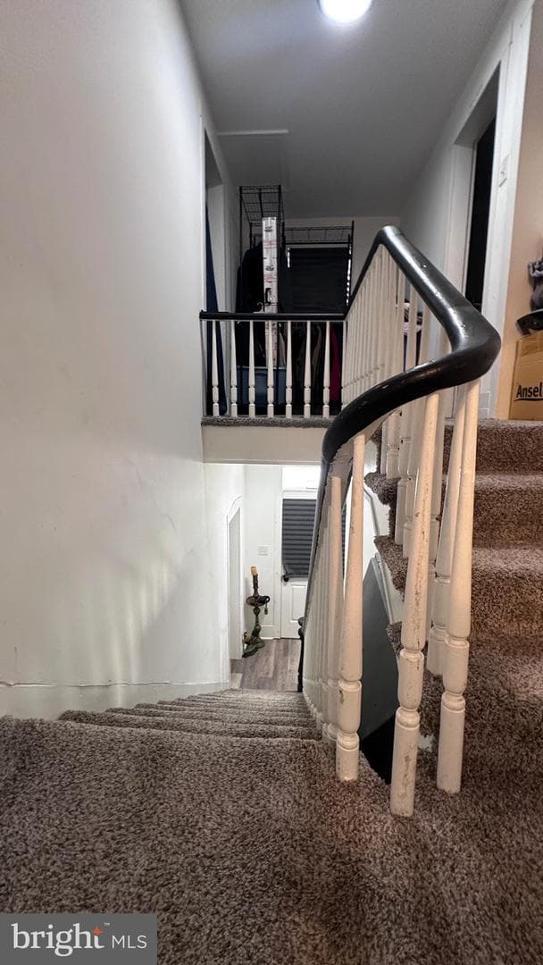 364 Wilkes Street photo 23