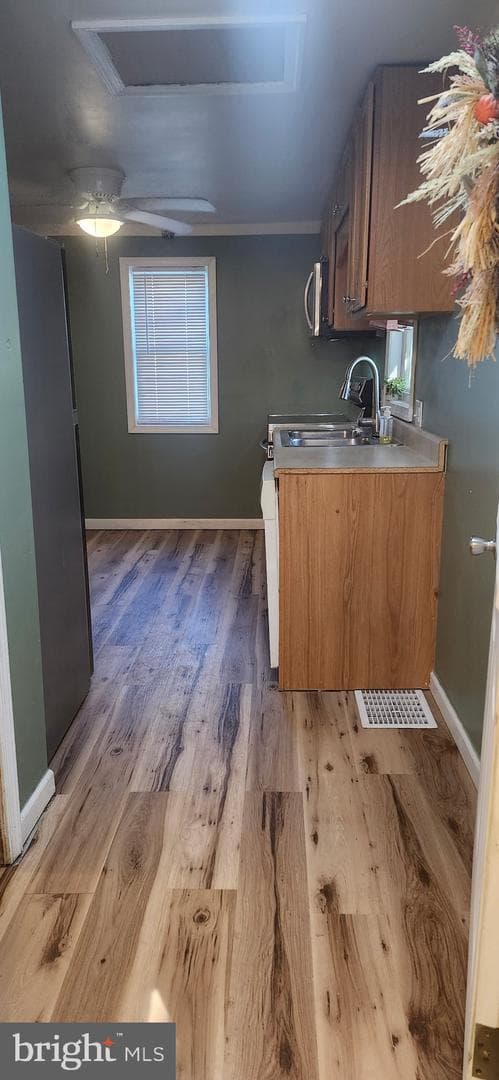 81 Norris Avenue photo 15