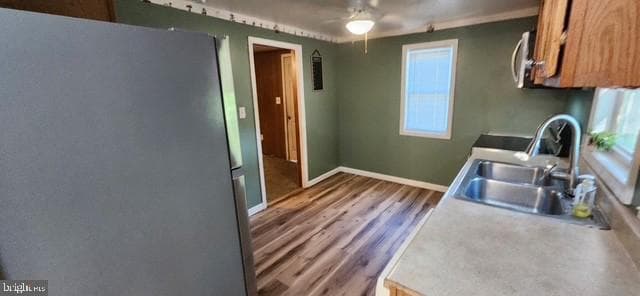 81 Norris Avenue photo 16