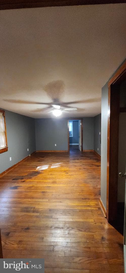 81 Norris Avenue photo 18