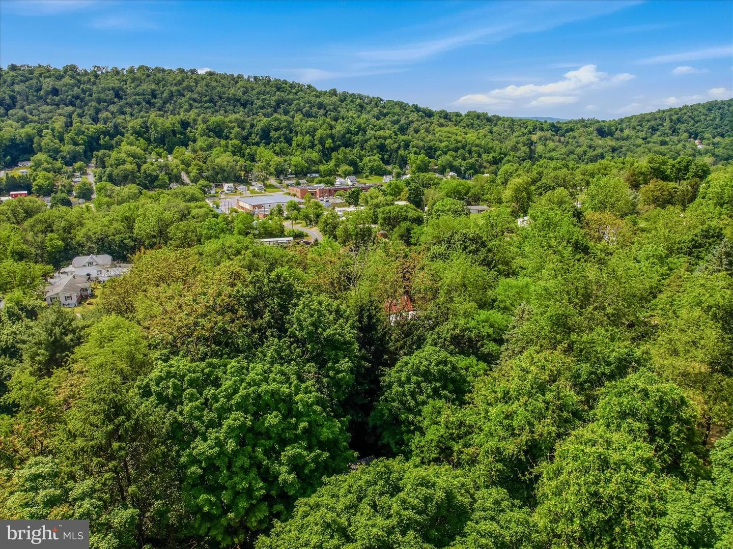 64 Hobday Lane photo 35