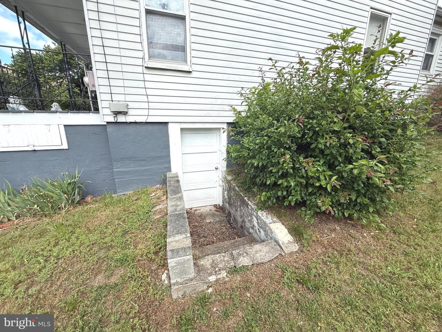 9 Fox Street photo 41