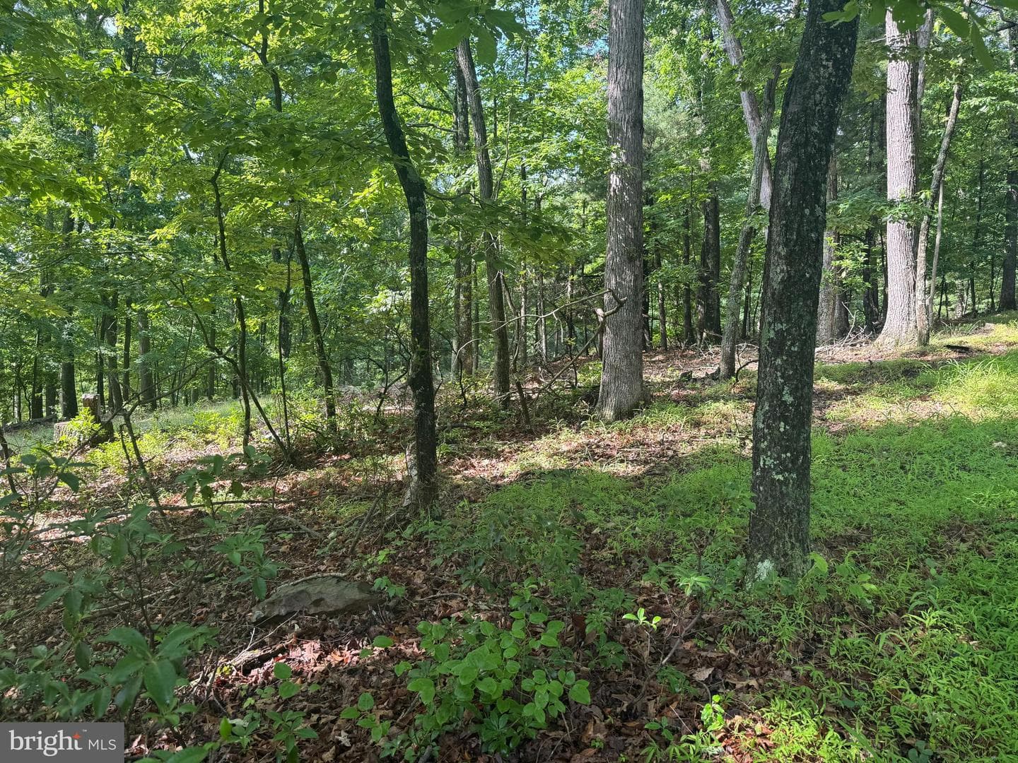 133 Pepper Lane, Great Cacapon