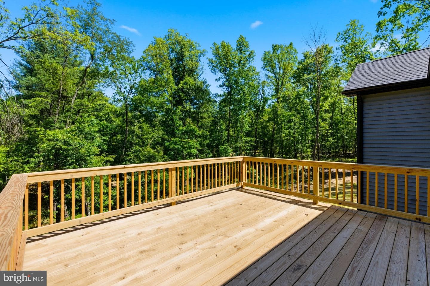 63 Spice Bush Court photo 45