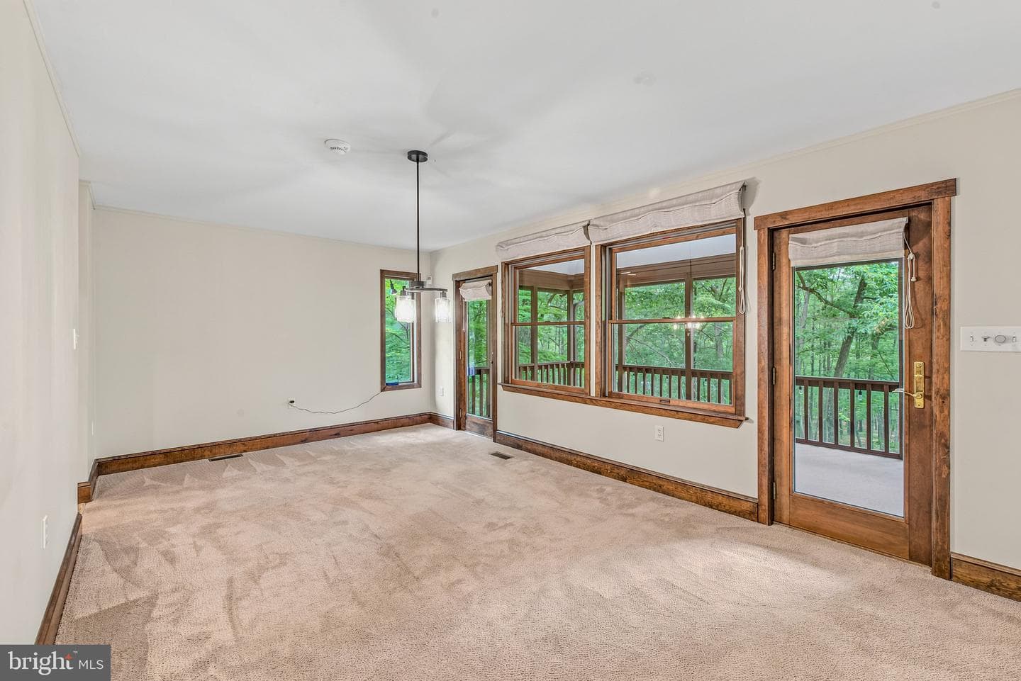 355 Sandstone Lane photo 11