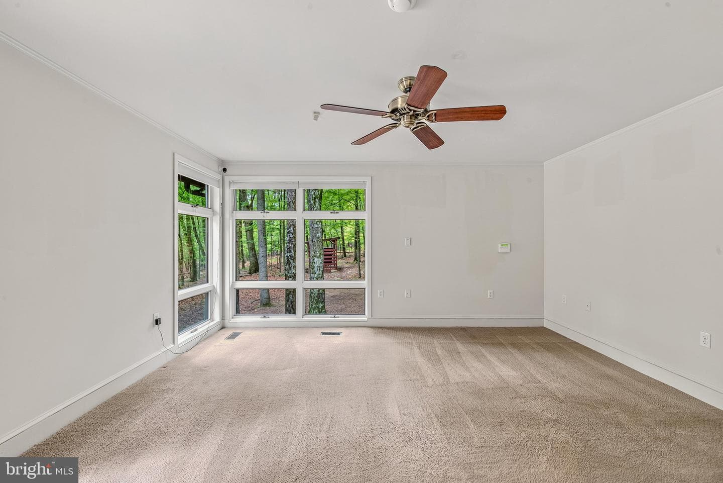 355 Sandstone Lane photo 20