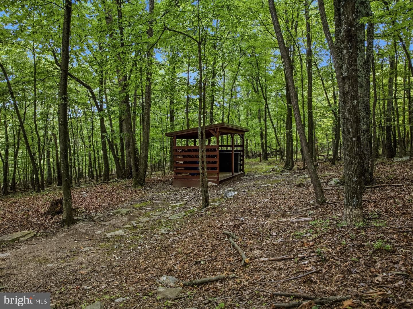355 Sandstone Lane photo 51