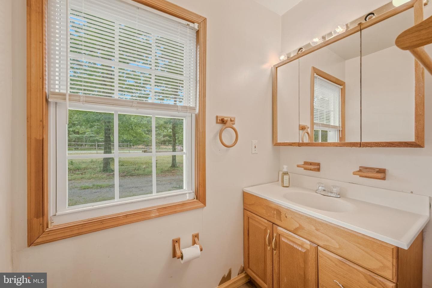 602 Plum Tree Lane photo 23